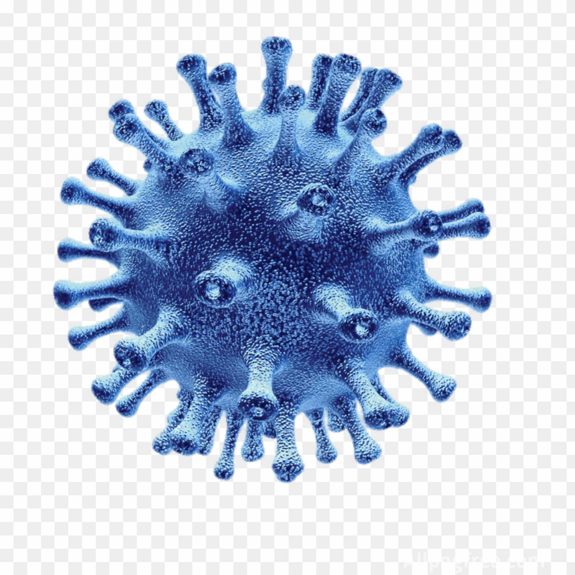 coronavirus png