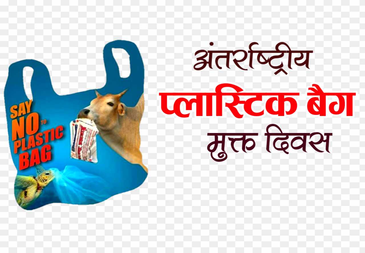 Antarrashtriy plastic bag mukt Divas in hindi png images 