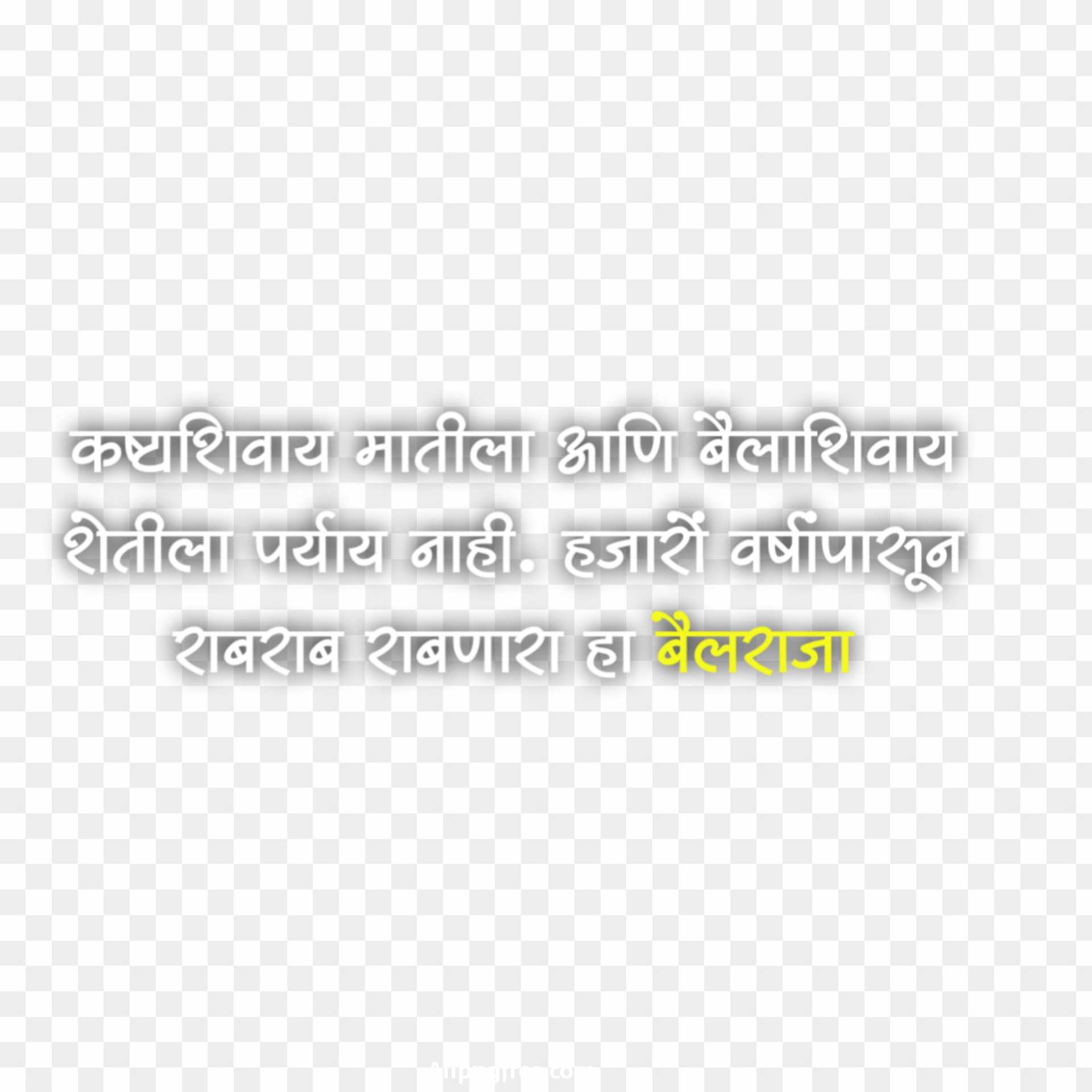 Bail Pola quotes in Hindi text PNG 