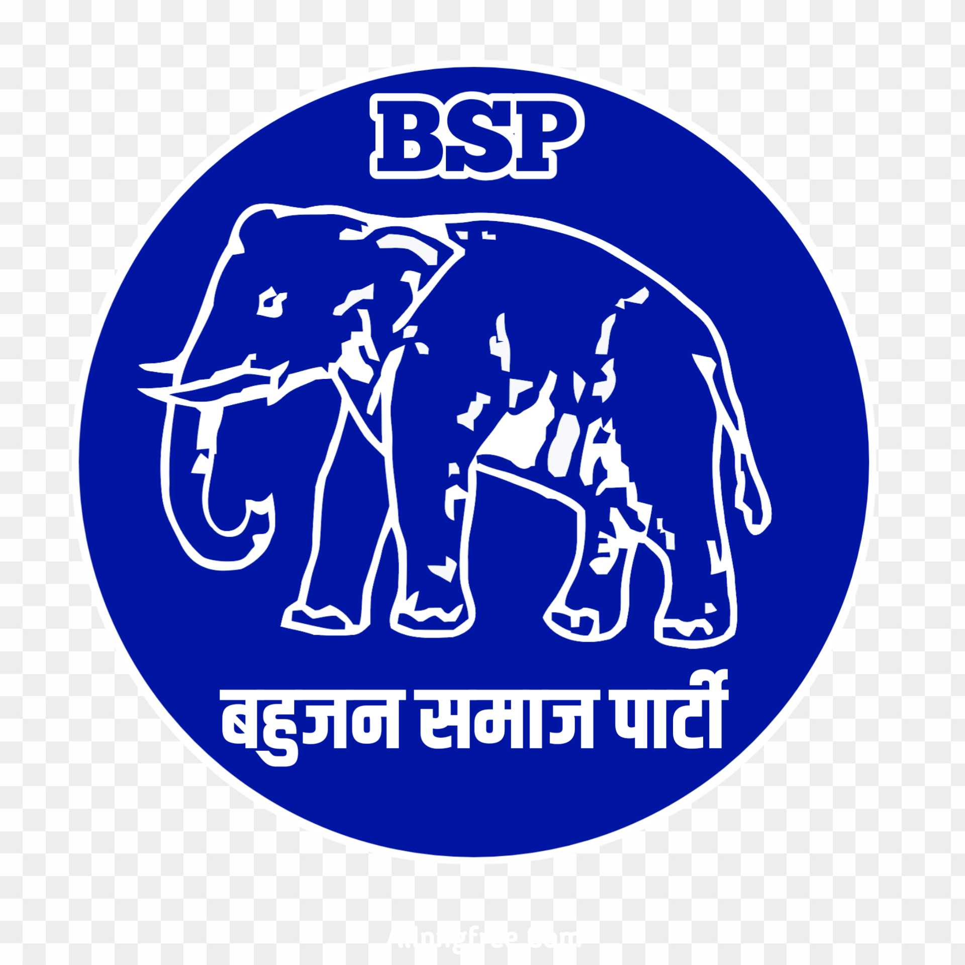Bsp logo png images 