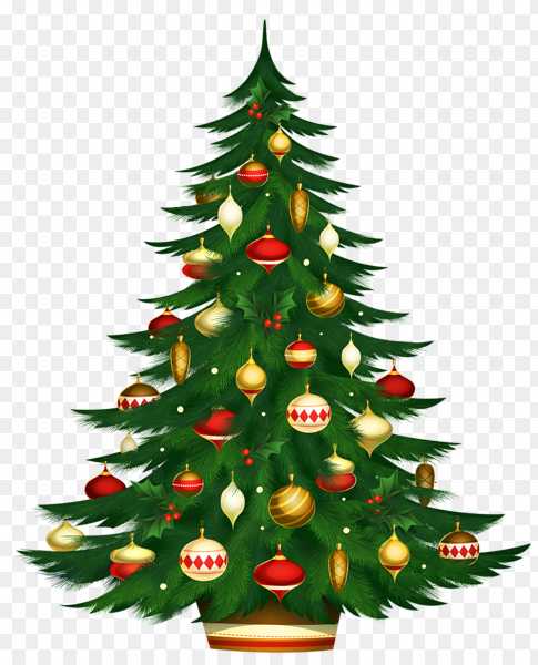 Christmas Tree Christmas Day_ Christmas Eve PNG