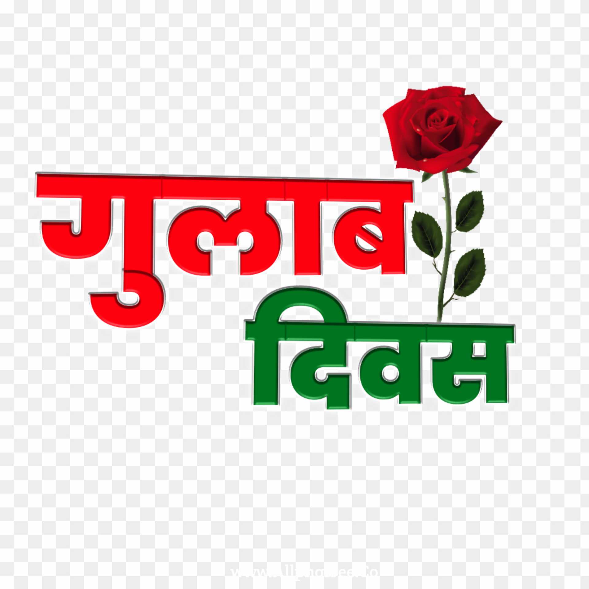 Gulab Divas Rose day ine Hindi text PNG download