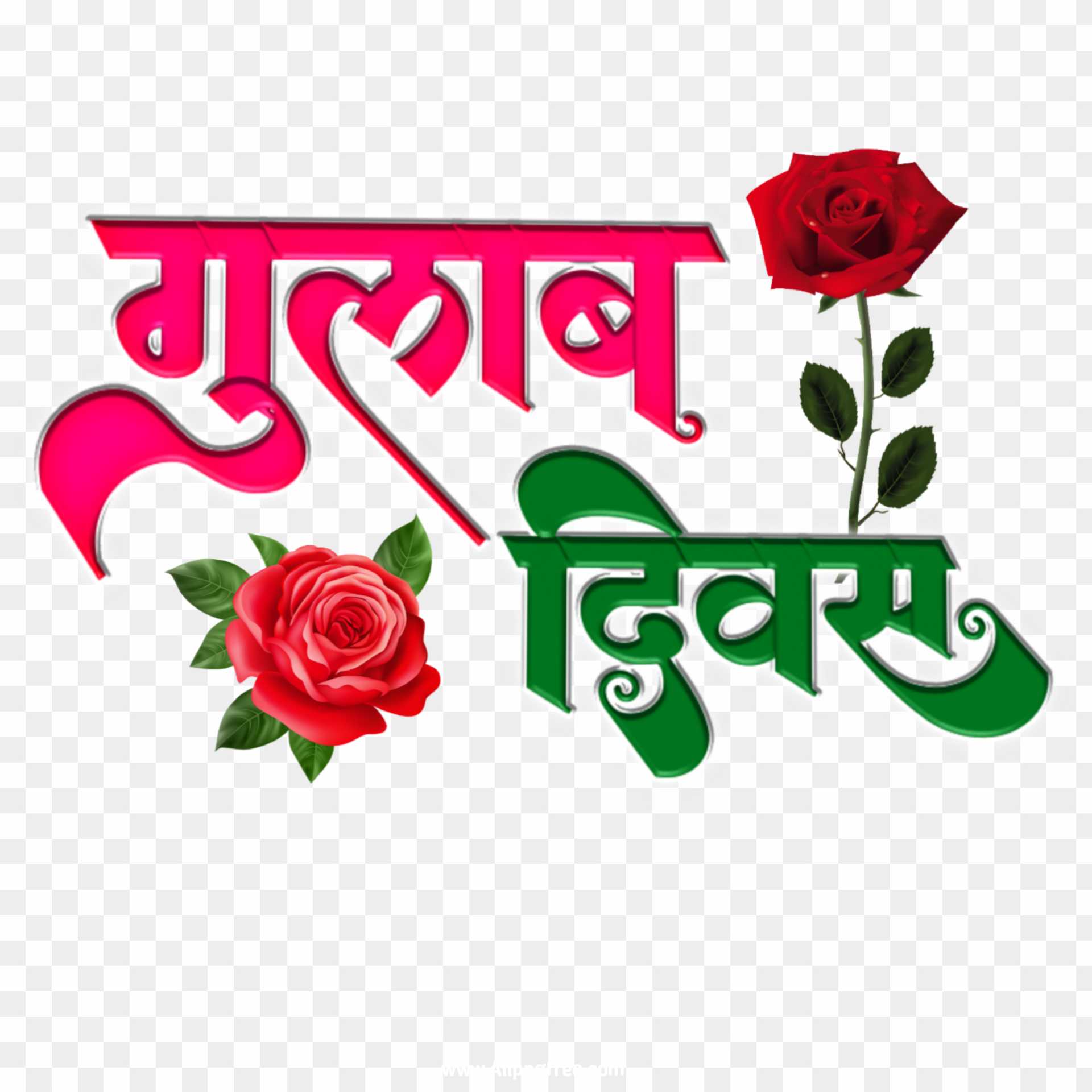 Happy Rose Day in Hindi text PNG images download