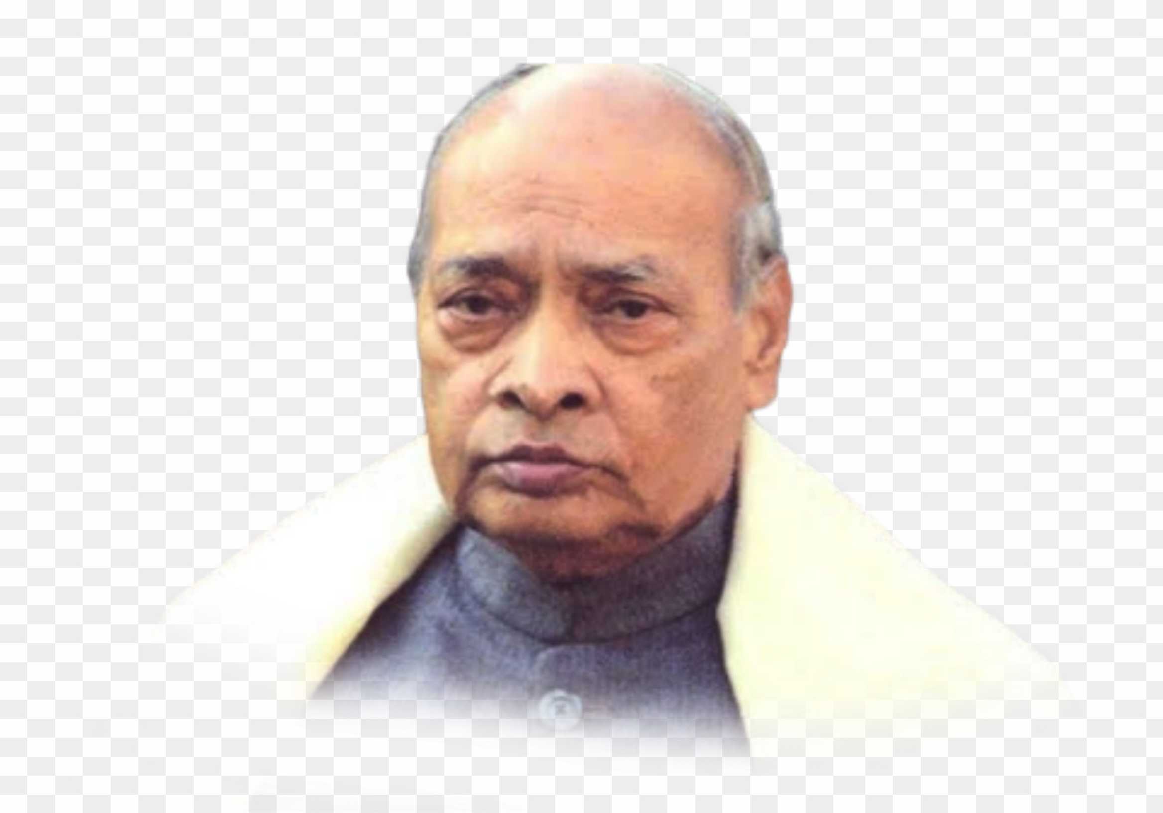 p v Narasimha Rao png images free download