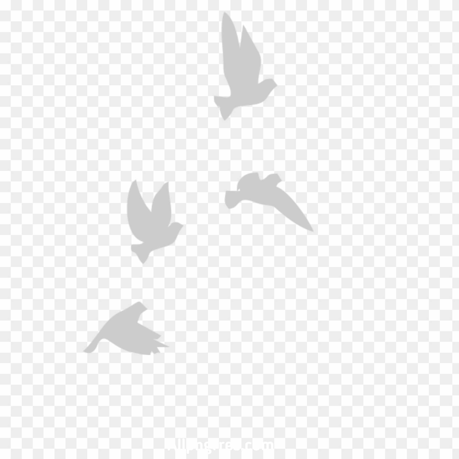 Pigeon Logo PNG Transparent Images Free Download | Vector Files | Pngtree