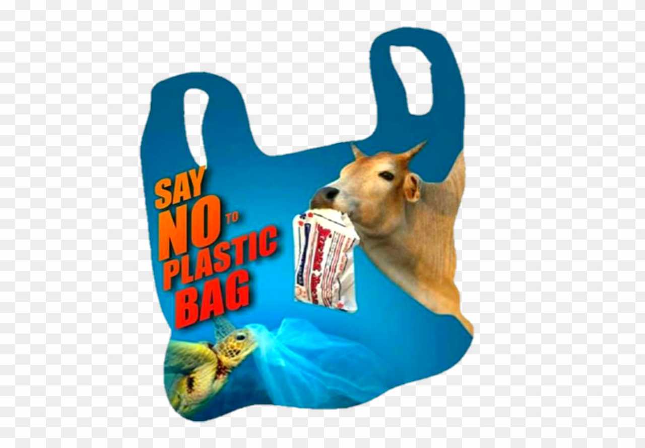 plastic bag free day png