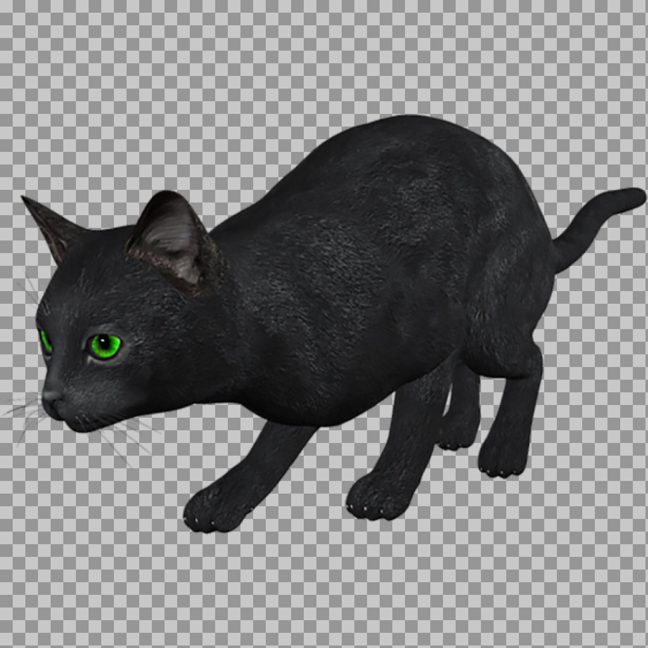 Black Cat PNG Transparent Background