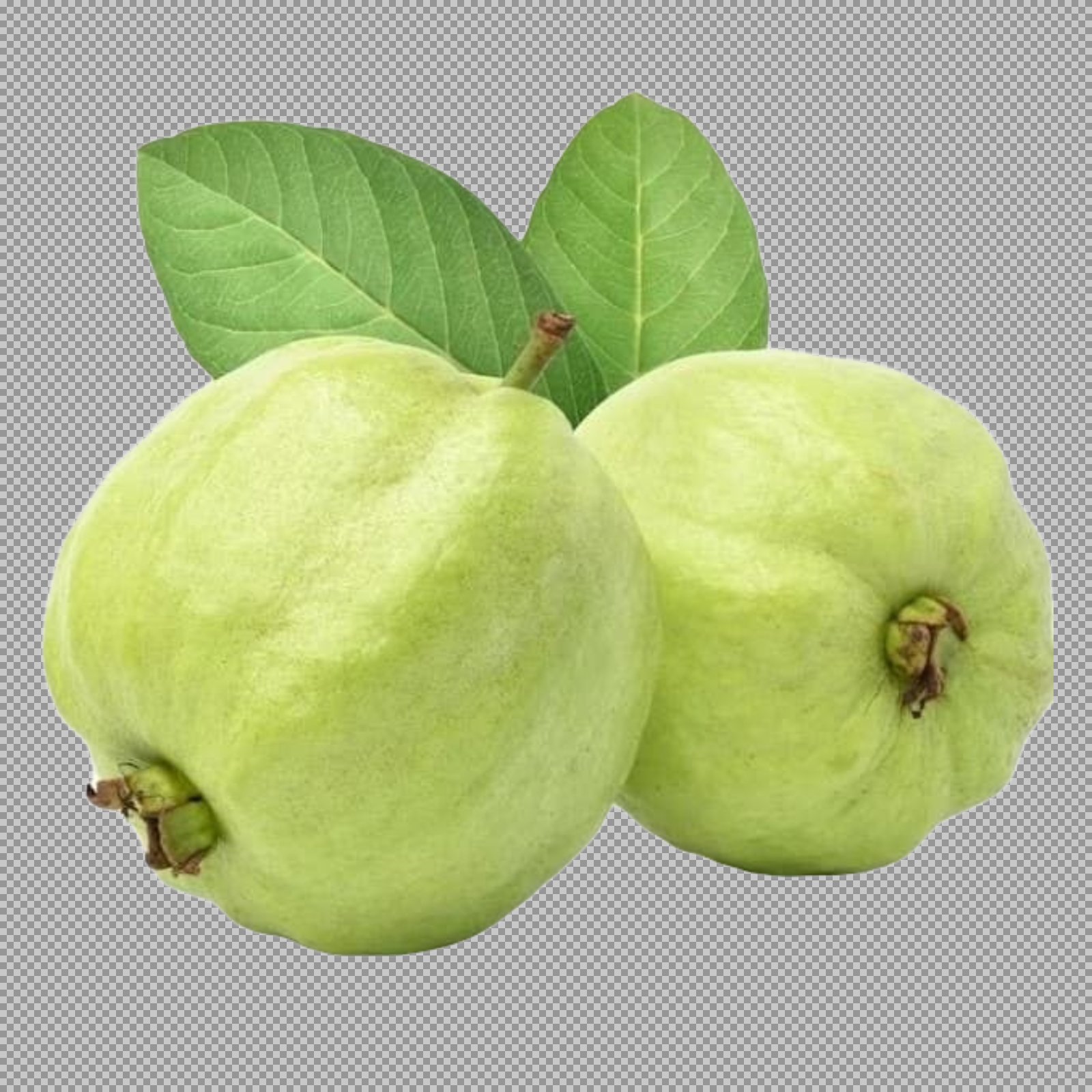 Fresh Green Guava PNG | Organic Tropical Fruit Image - Free Download