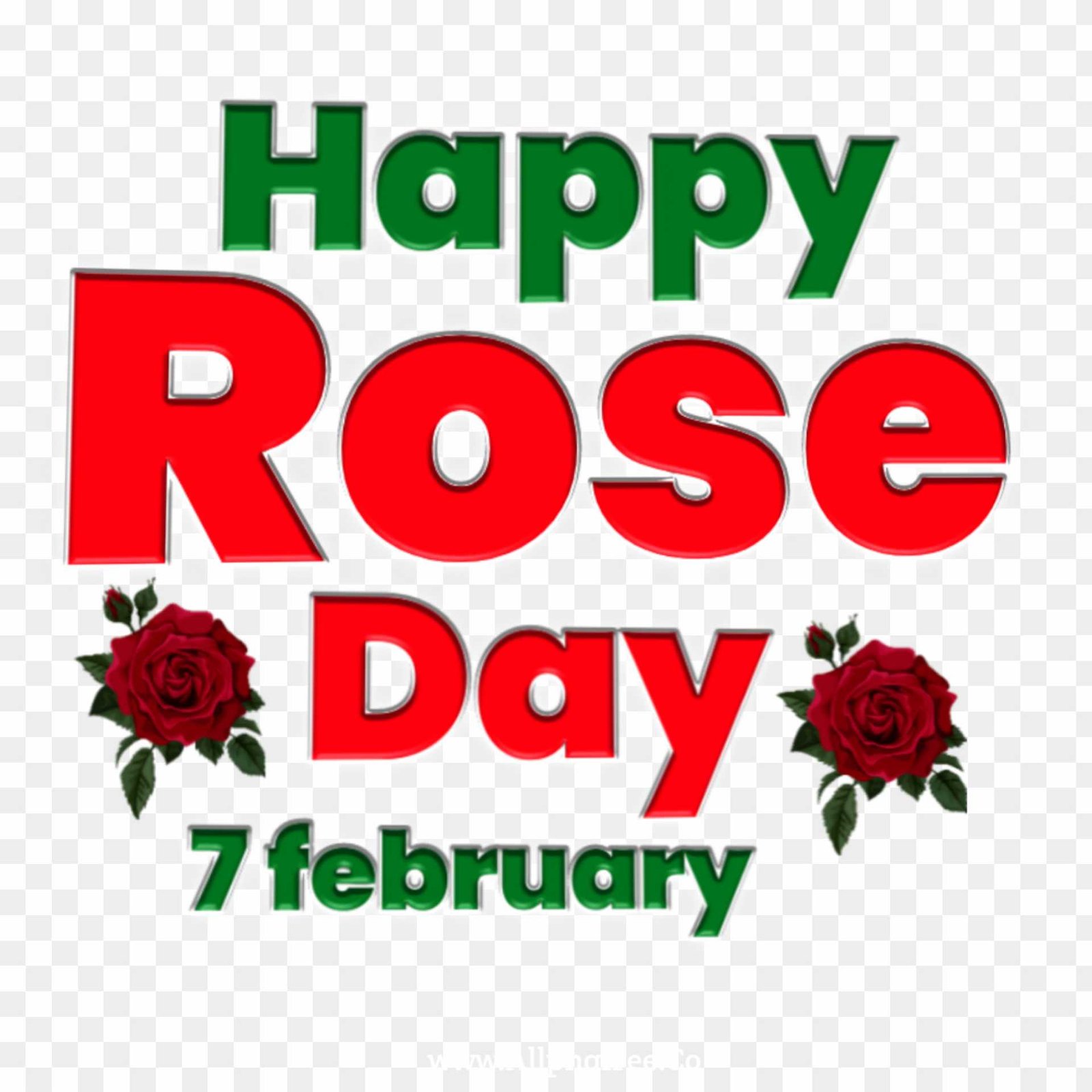 Rose Day Png Images, Gulab