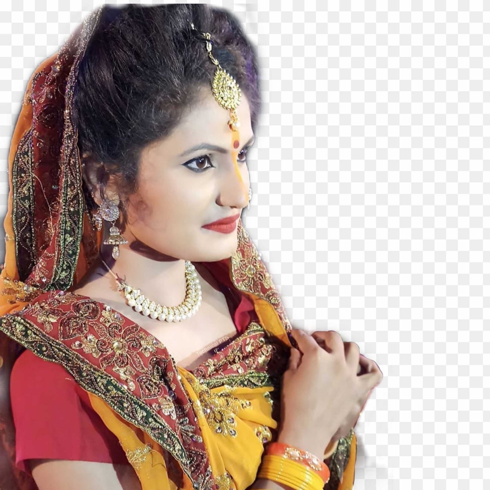 Antra Singh Priyanka png transparent image download