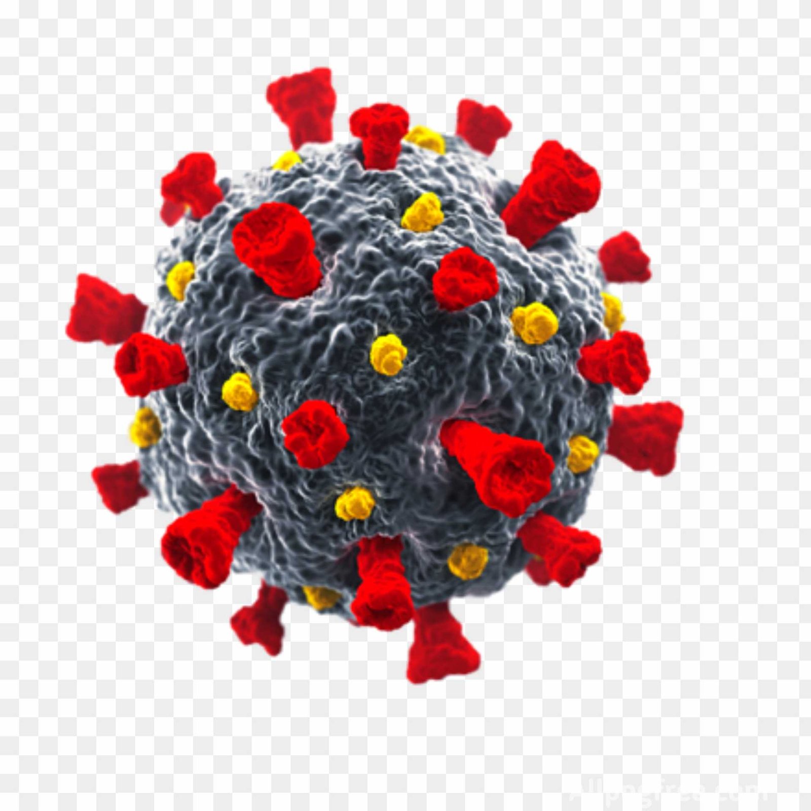 Corona png transparent image