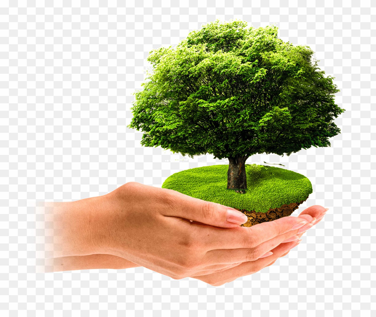 World Environment Day