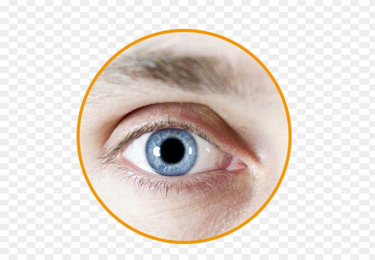 Eye png