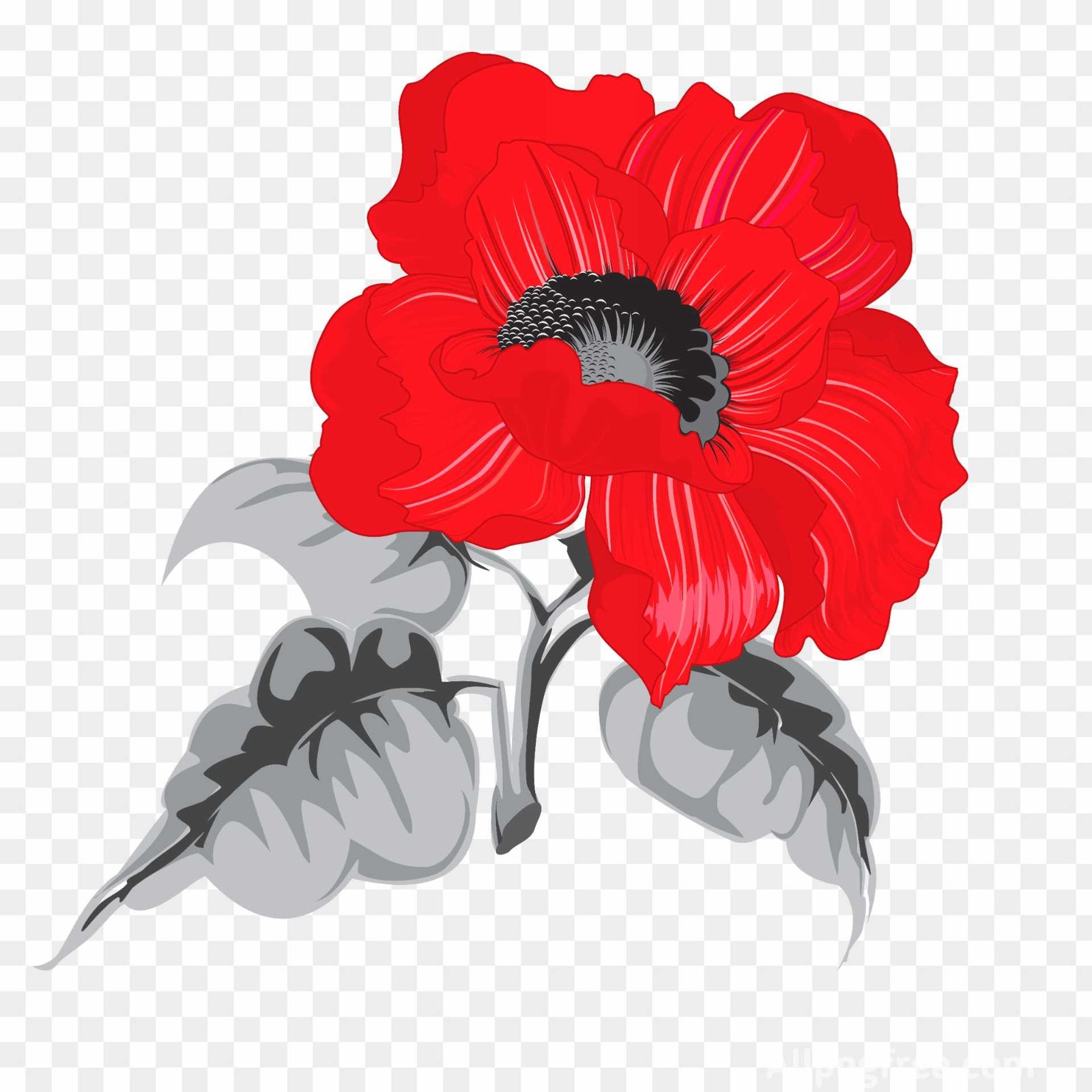 Flower hd Png transparent image