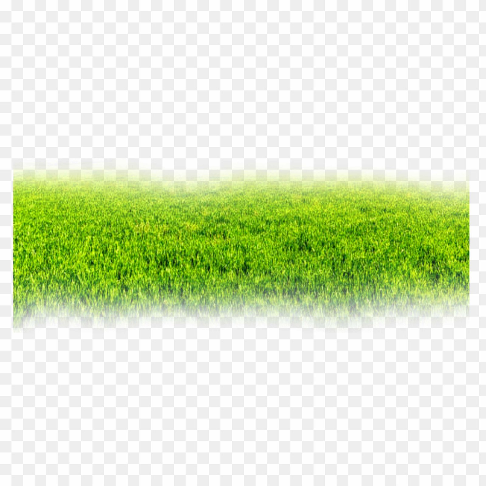 Ghass png images_ Grass png transparent image download