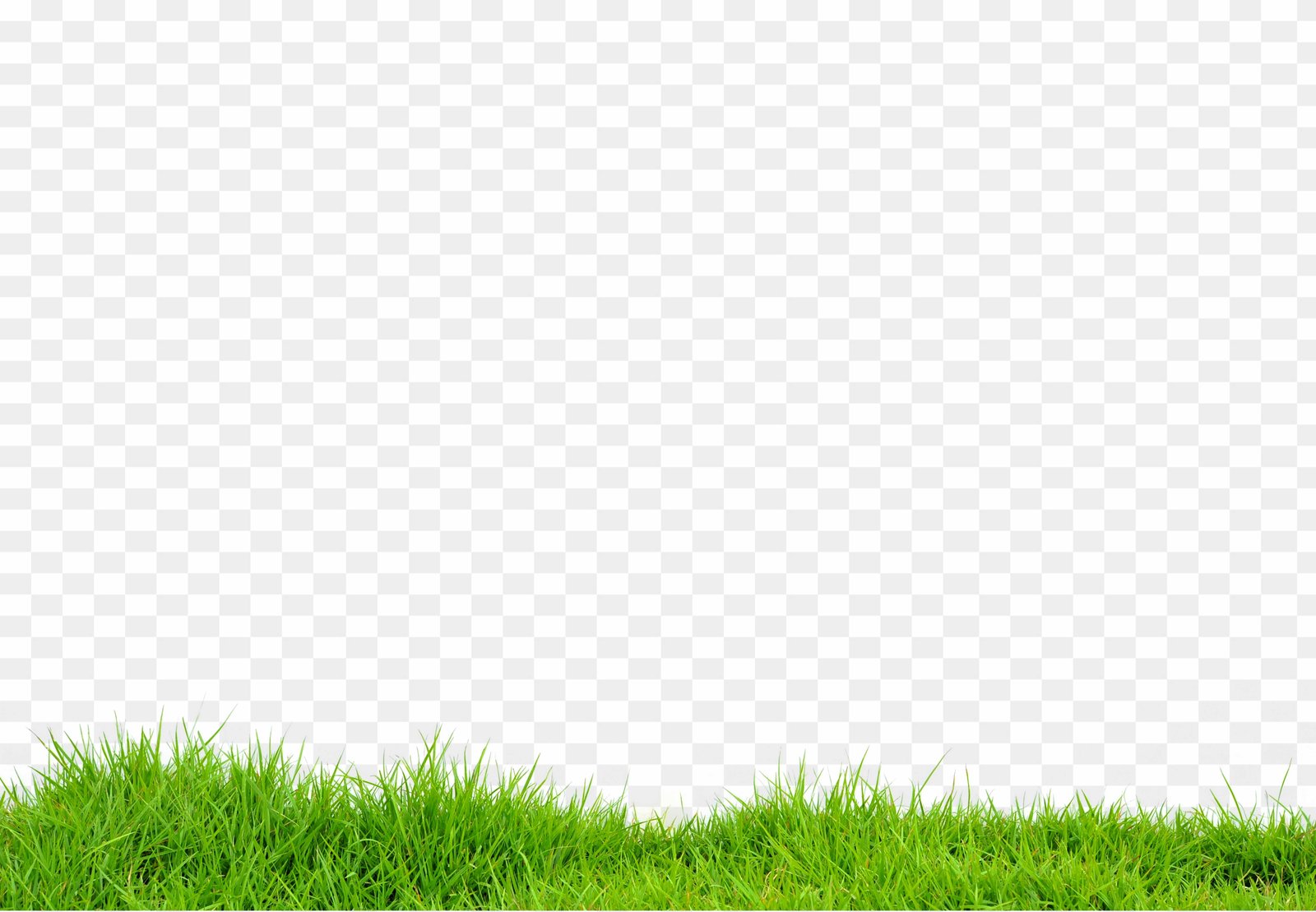 Grass png images