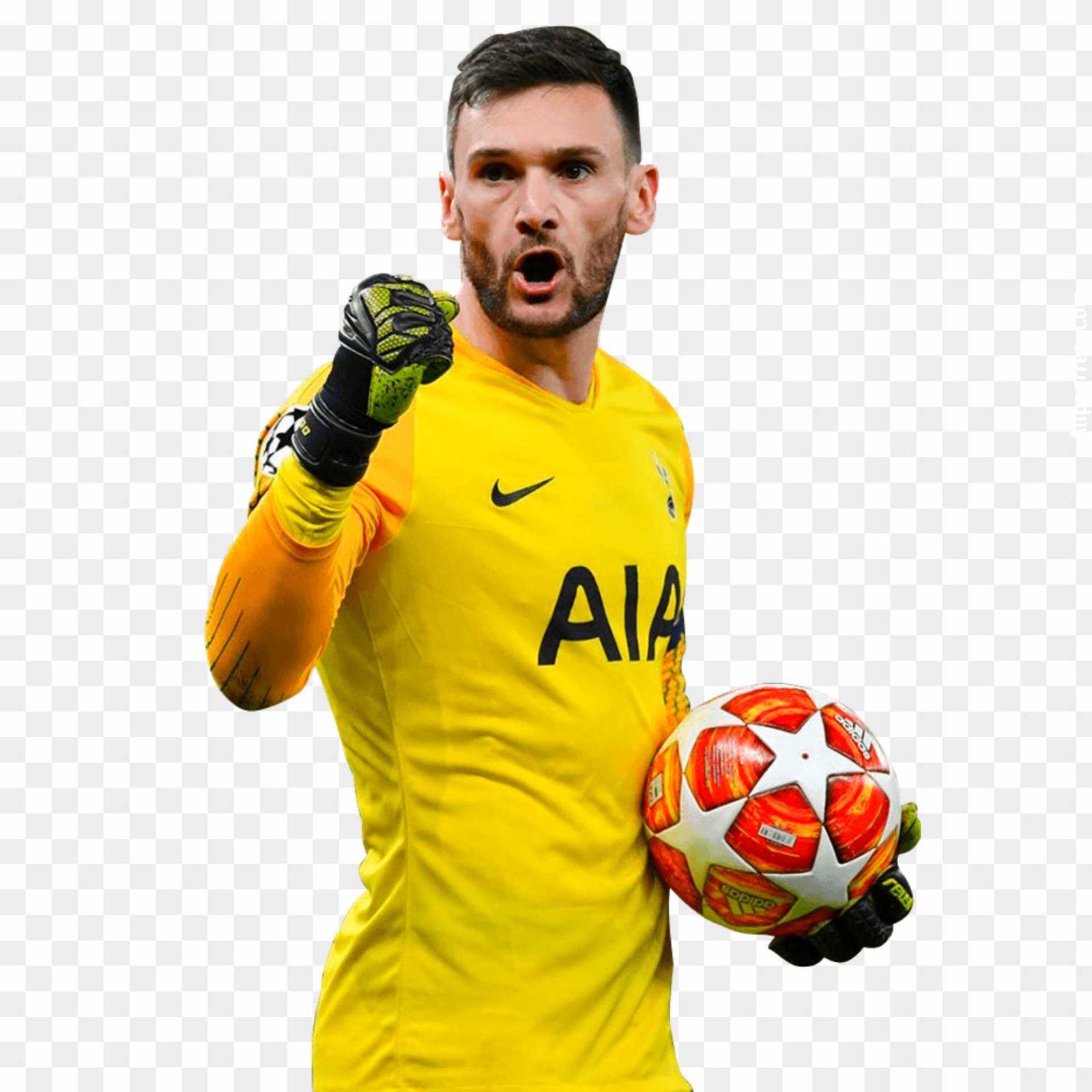 Hugo Lloris png images download 