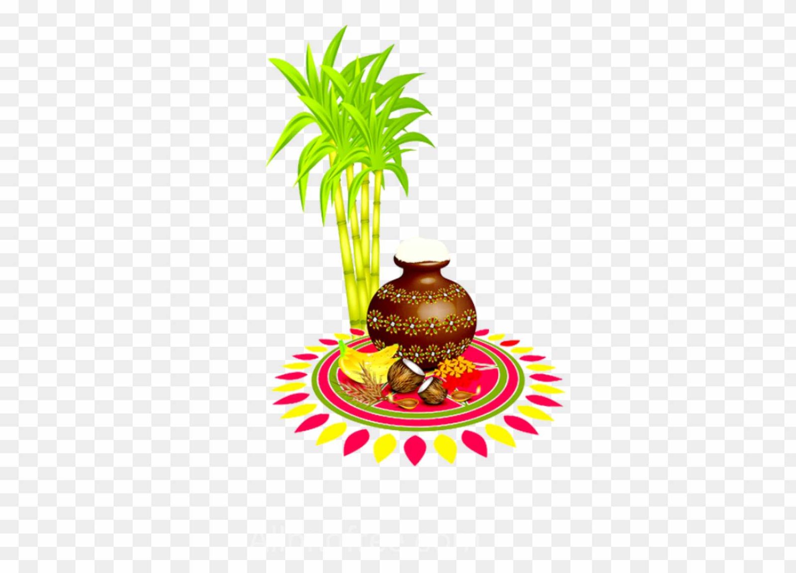 Pongal PNG Images 