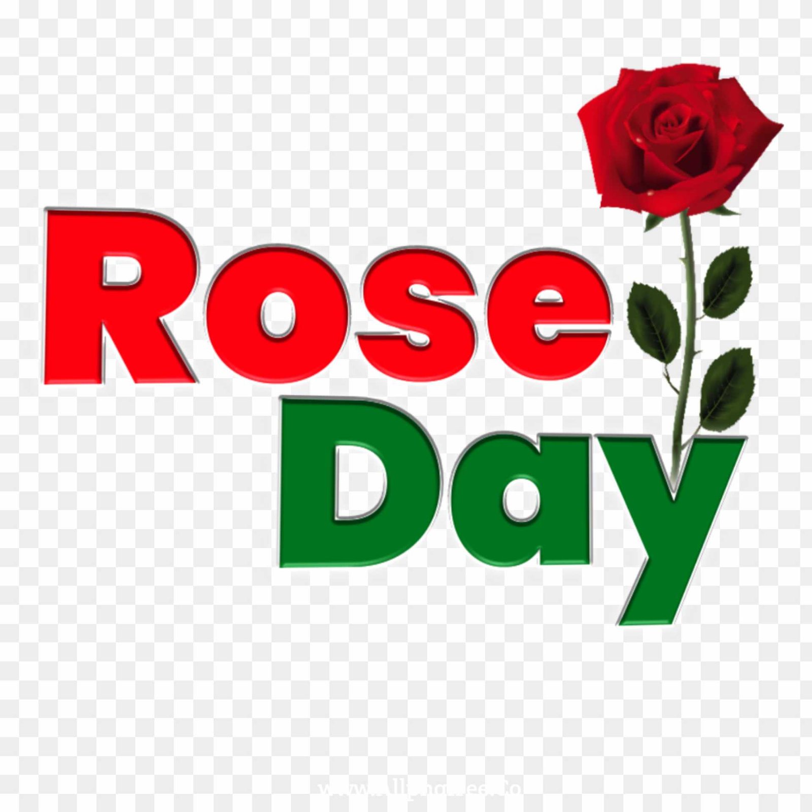 Rose day png transparent images 