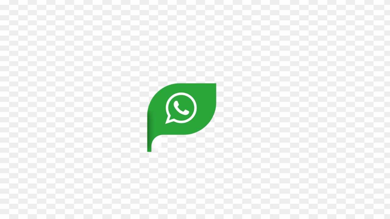 WhatsApp png images