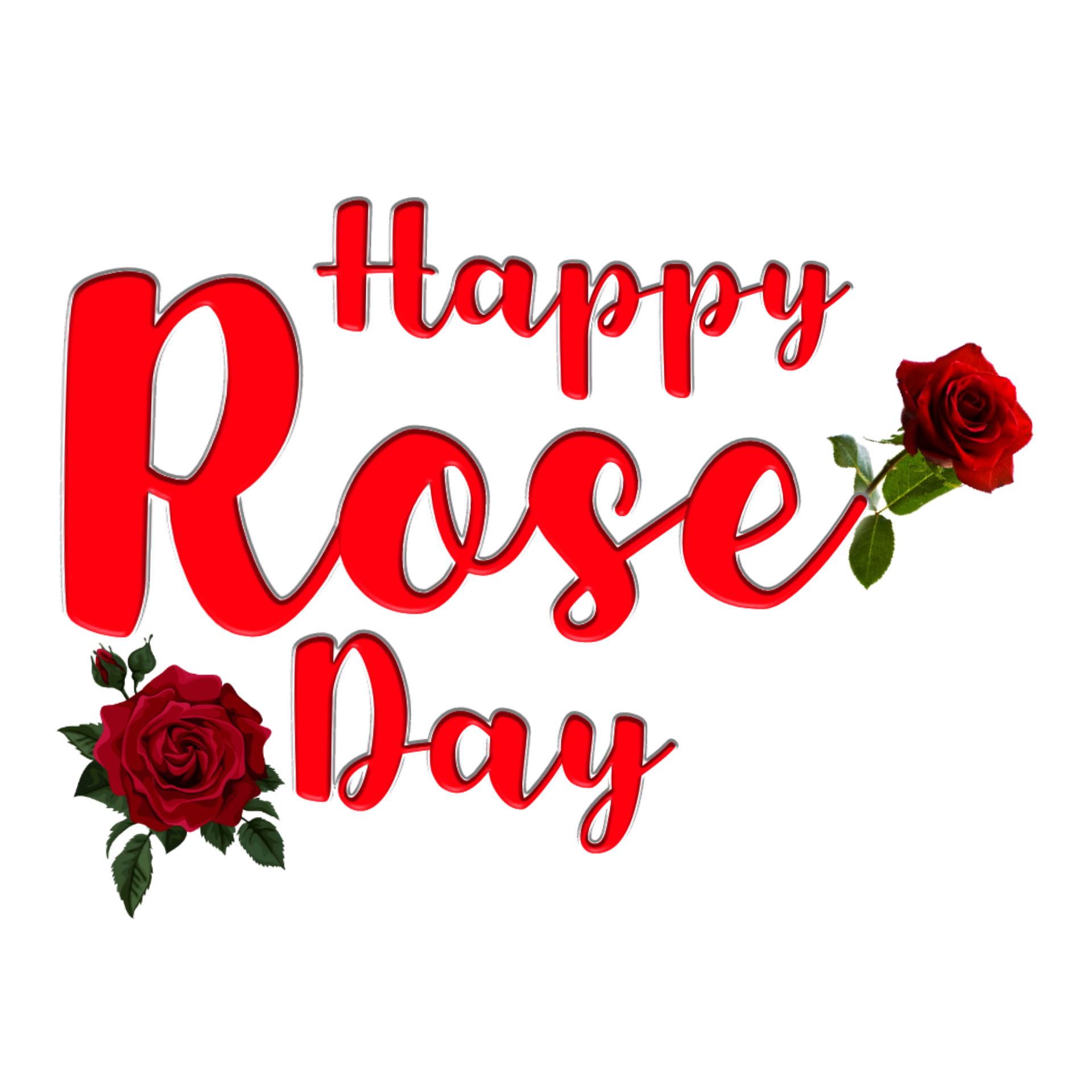 Happy Rose Day text PNG transparent images